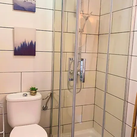 Hibiscus * Κοραλέχο