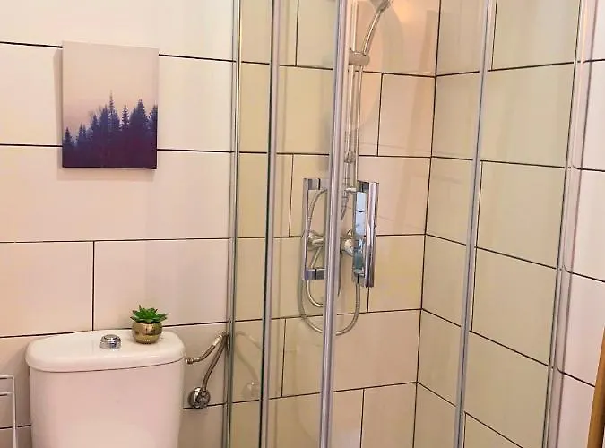 Hibiscus * كوراليهو